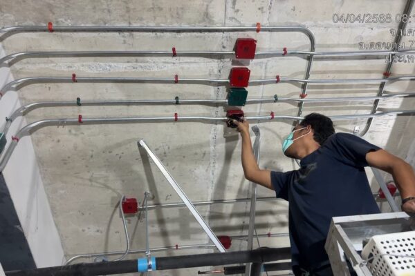 S__81715284_0 S__81715284_0